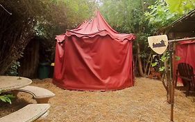 Le Camp du Chevalier